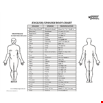 Spanish Body Chart example document template