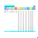 Profit And Loss Statement Template example document template