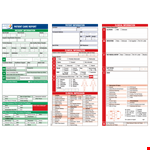 Nursing Patient Report example document template 