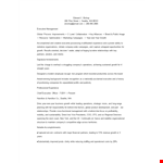 Professional Executive Resume Format example document template