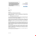 Non Executive Directors Letter Of Appointment example document template