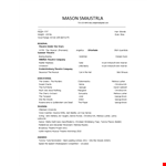 Professional Theatre Resume example document template