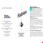 Create Eye-Catching Pamphlets for Animal Health and Rabies Awareness example document template