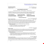 Sales And Marketing Executive Resume example document template