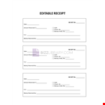 Editable Receipt Template example document template