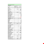 Projected Balance Sheet Format: Total Current Liabilities and Assets example document template