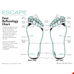 Explore the Benefits of Foot Reflexology Chart | Beauticontrol, Sinuses example document template