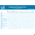 Simple Companion Planting Chart for Tomatoes and Chamomile example document template