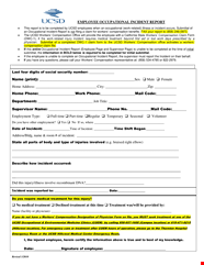 Employee Incident Report