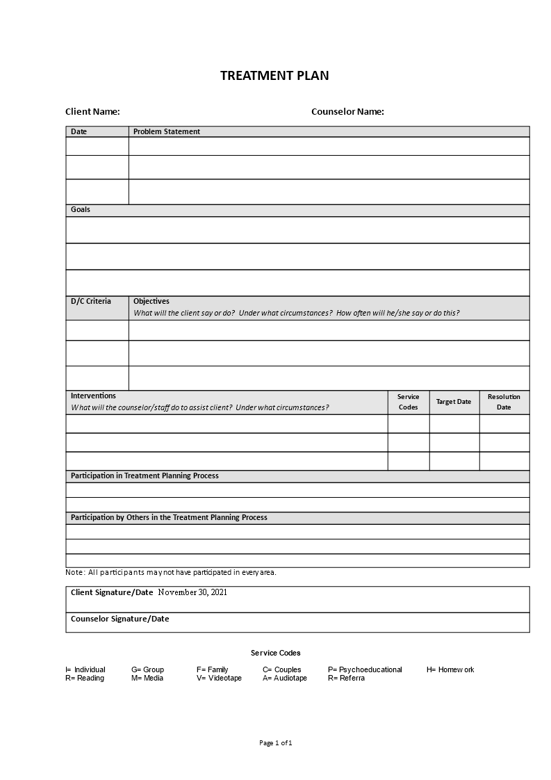 treatment plan template example