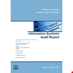 Information System Audit Report example document template