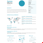 Resume Template In Word Us Letter example document template