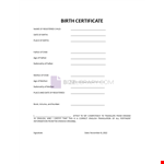 English Birth Certificate Translation Form example document template