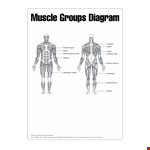Human Muscle Chart example document template