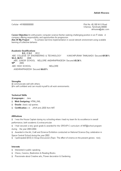 Professional Fresher Engineer Resume Example