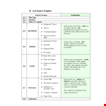 Professional Lab Report Template - Expert Section and Results with Equations example document template