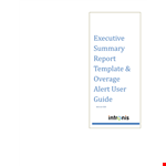 Example of Daily Executive Report - Account Support, Summary Figures example document template
