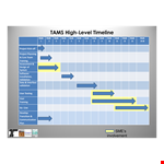 High Level Timeline Template example document template