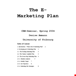 Email Marketing Business Plan example document template 