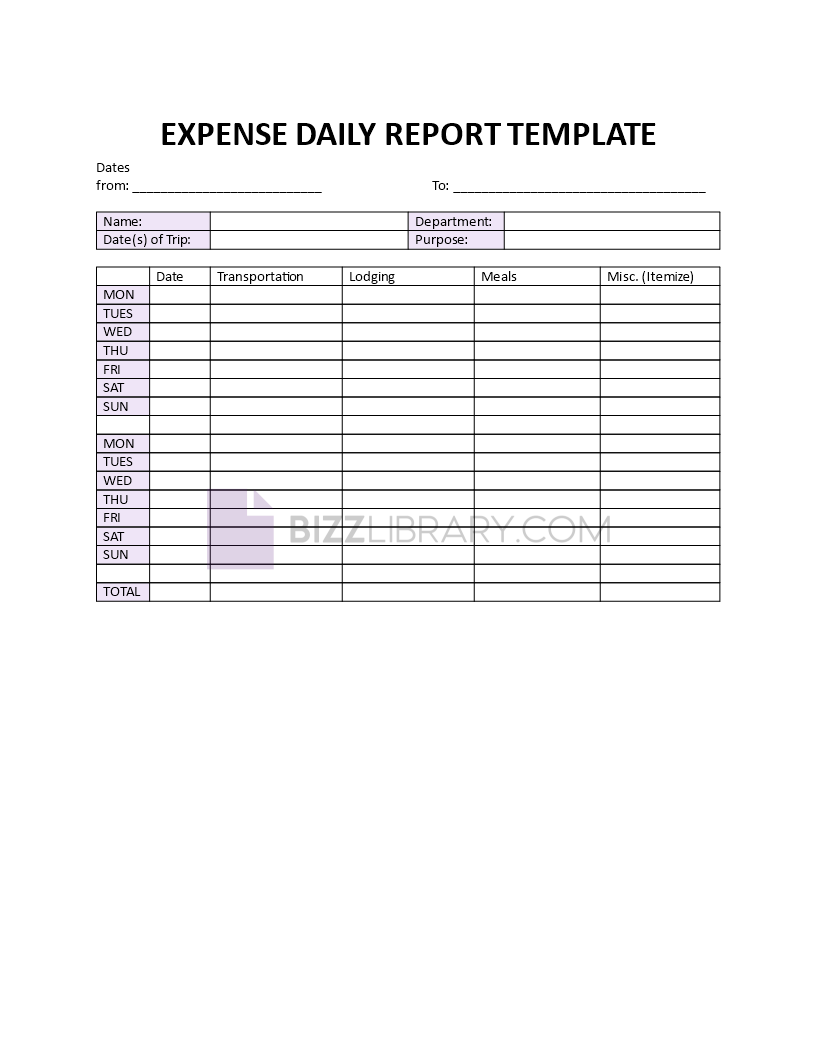expense daily report