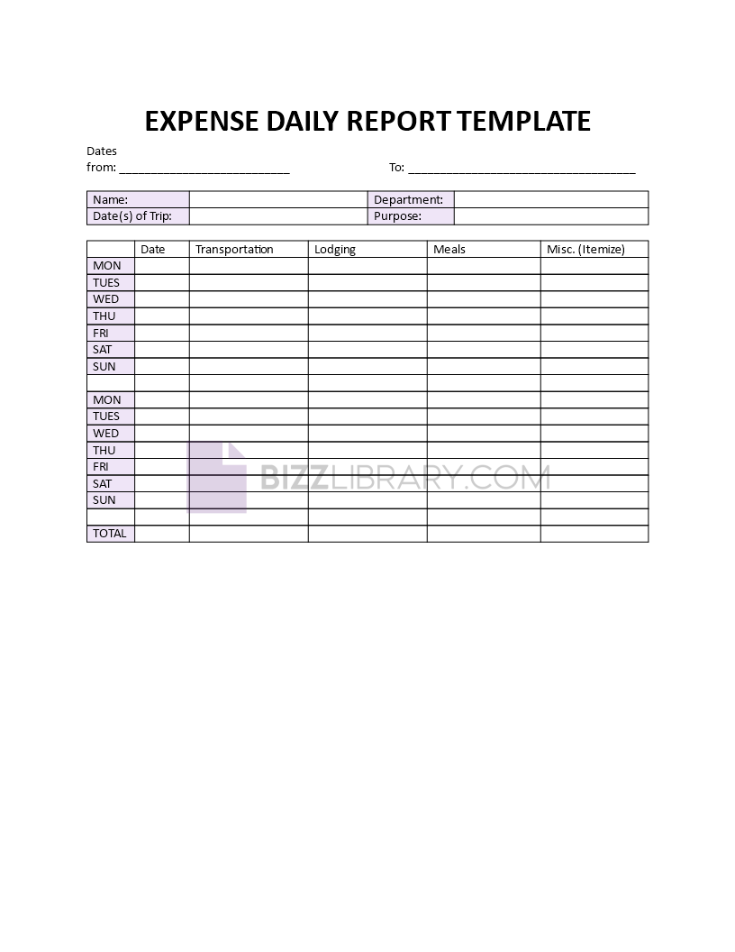expense daily report Main Image expense daily report
