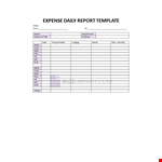 Expense Daily Report example document template