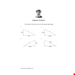 Discover the Power of Pythagorean Theorem for Calculating Length and Diameter of Geometric Shapes example document template