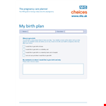 Pregnancy Birth Plan Template example document template