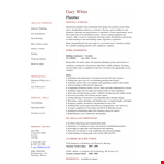 Plumber Resume In Pdf example document template