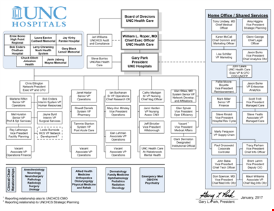 Large Hospital Organizational Chart Template - Download Now