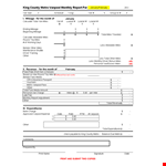 Excel Monthly Report Template example document template