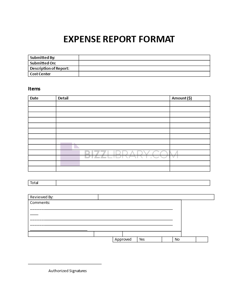 expense report format