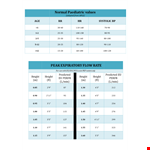 Noraml Peak Flow Chart example document template