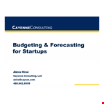 Startup Company Budget Template example document template