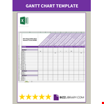 RACI Matrix Excel Template example document template