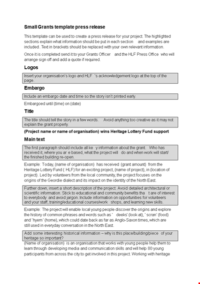 Download a Professional Press Release Template for Your Organization | Project Information