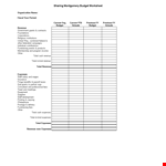 Nonprofit Budget Sheet Template example document template