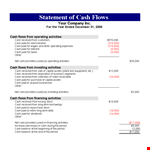 Statement of Cash Flow Example in XLS example document template