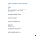 Transactional Attorney Resume example document template