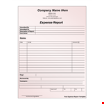 Expense Report Template - Free, Easy-to-Use Template for Approved Expenses example document template