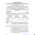 Executive Level Resume Format example document template