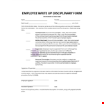 Write Up Disciplinary Form example document template