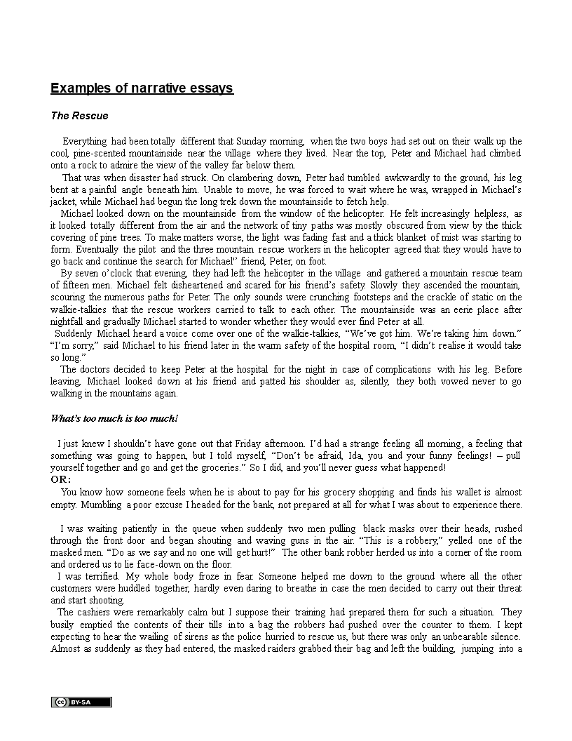 Peter s Rescue A Personal Narrative Essay Sample peter-s-rescue-a-personal-narrative-essay-sample