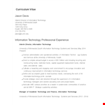 It Director Resume example document template