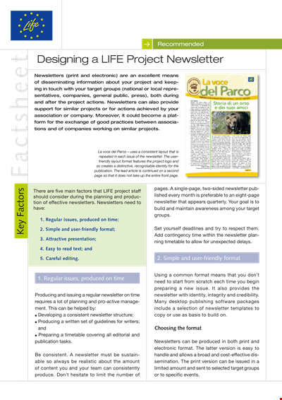 Create a Professional Newsletter Template - Project Newsletter Success