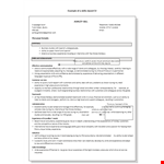 Professional Resume Skills Example example document template