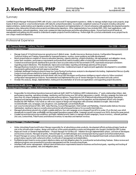 senior it manager resume template