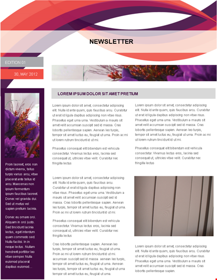 professional newsletter template - editable & customizable template