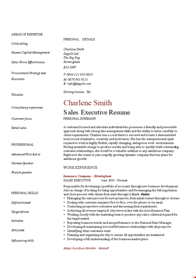 sales executive resume - expertly crafted to showcase your business skills | dayjob template