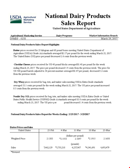 product sales data report template